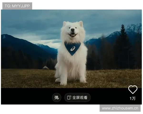 常园家的狗都比你自律