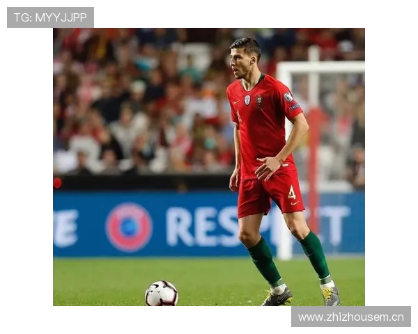 范戴克与鲁本·迪亚斯防守集中度偏移及单点驱动趋势对比